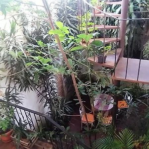 Jungle Chill Antigua